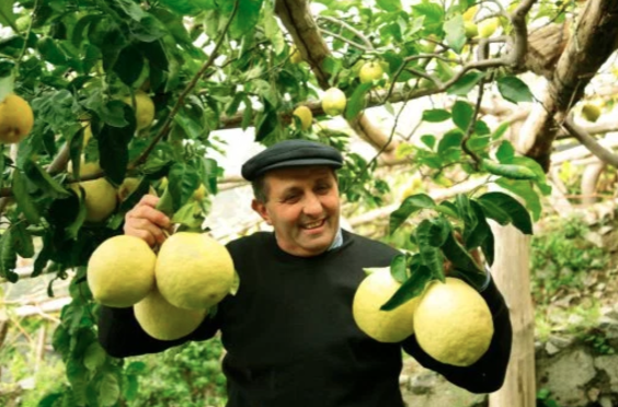 screen-shot-2017-01-08-at-2-58-15-pm