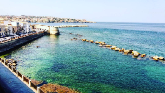 Screen Shot 2017-08-14 at 11.39.46 AM.png