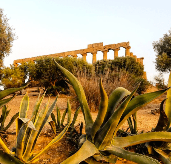 Screen Shot 2017-08-14 at 2.26.05 PM.png