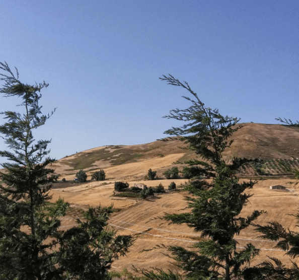 Screen Shot 2017-08-14 at 2.29.08 PM.png