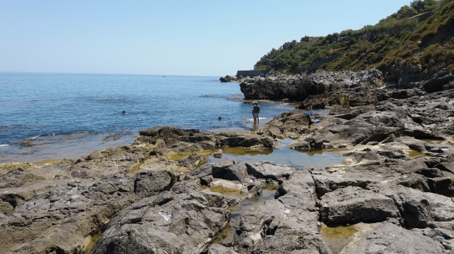 Screen Shot 2017-08-15 at 4.01.54 PM.png