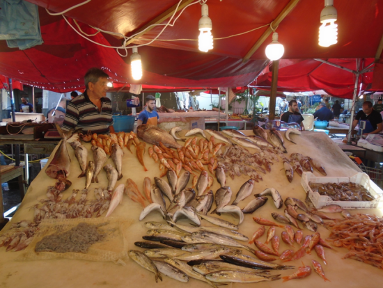 Screen Shot 2018-02-18 at 2.37.26 PM.png