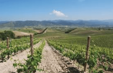 Screen Shot 2018-03-07 at 2.29.37 PM.png