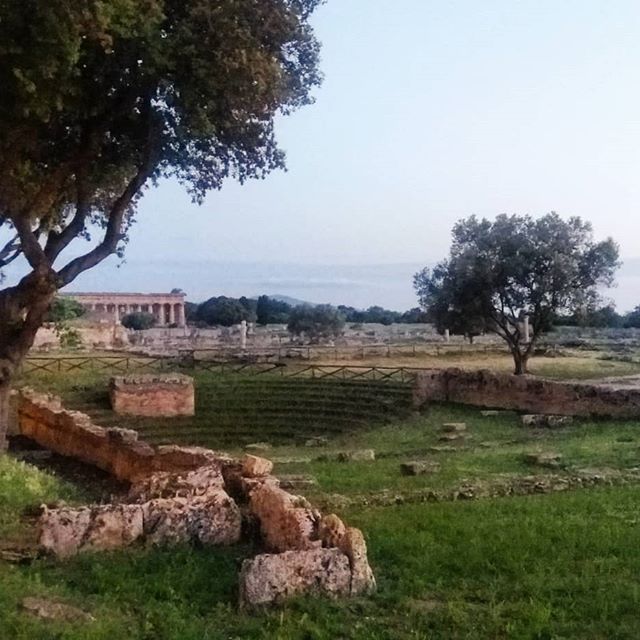 31449064_169527417219269_7088462897751261184_n